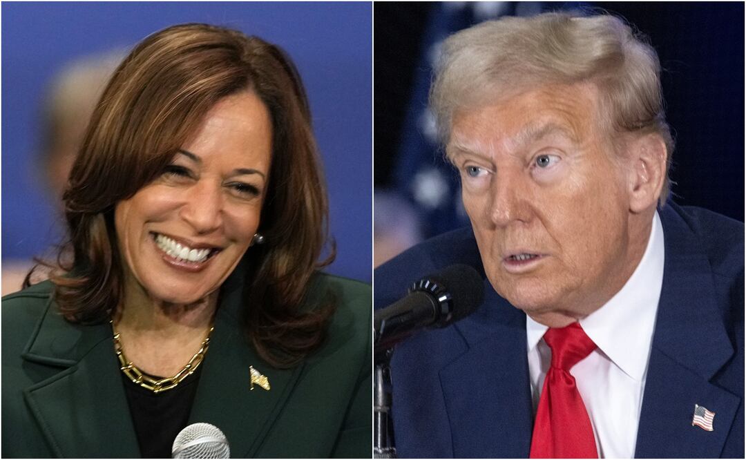 Donald Trump y Kamala Harris cortejan a los votantes latinos a dos semanas de las elecciones. Foto: AP