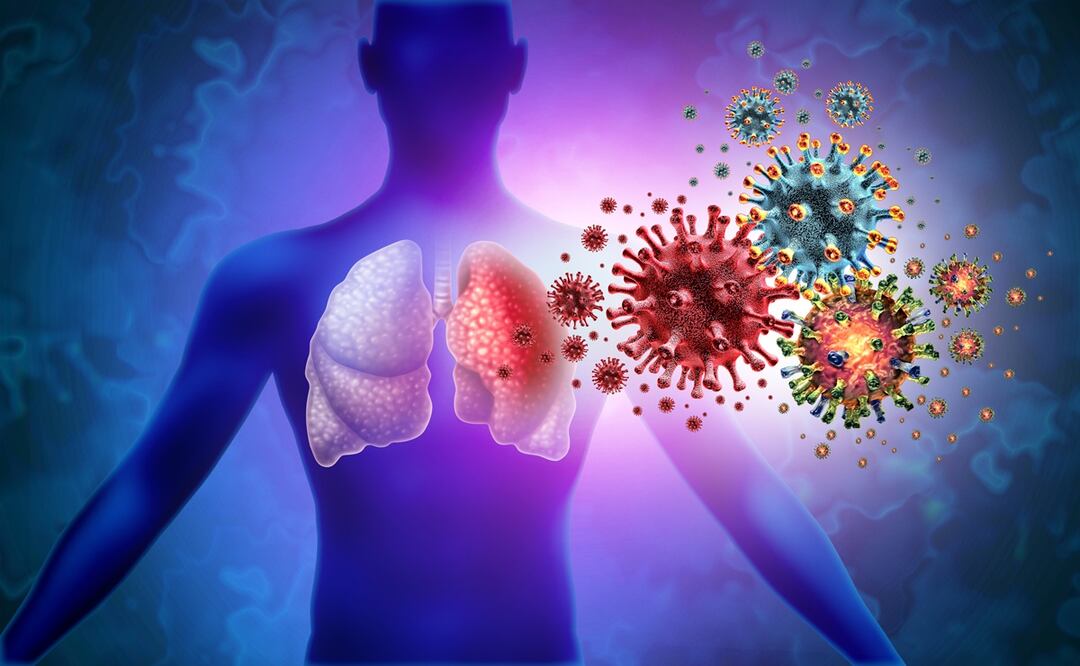 ¿Qué provocará la siguiente pandemia? La OMS revela que estos 30 patógenos pueden hacerlo. Foto: iSTOCK-wildpixel