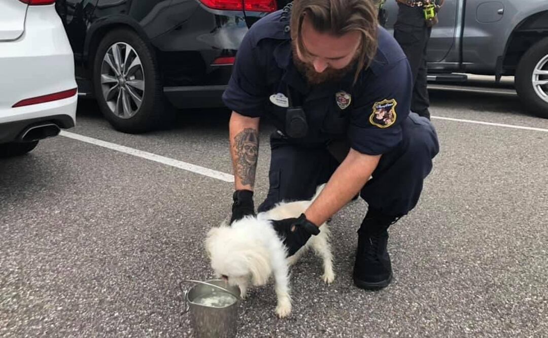 Foto: Twitter Parker Branton