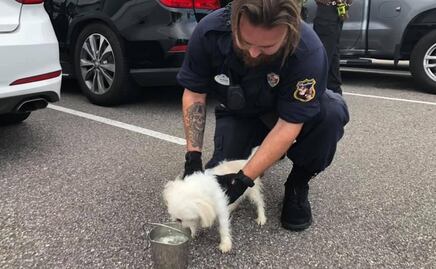 Rescatan a perro que dueño encerró en auto mientras visitaba parque de diversiones