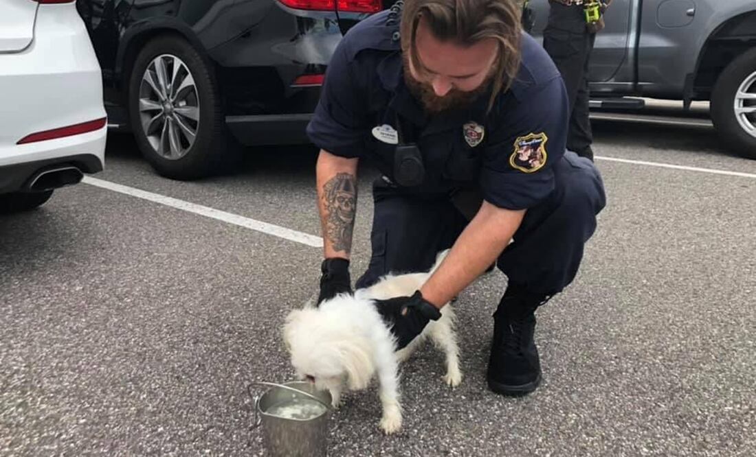 Foto: Twitter Parker Branton