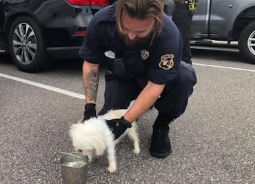 Rescatan a perro que dueño encerró en auto mientras visitaba parque de diversiones