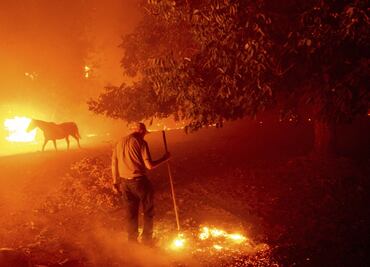 Desalojan a miles en el norte de California por incendios