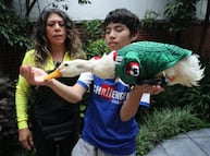Pato Merlín: Gobierno de México reconoce oficialmente a la familia propietaria de la marca