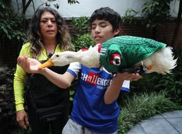 Pato Merlín: Gobierno de México reconoce oficialmente a la familia propietaria de la marca