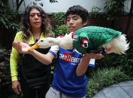 Pato Merlín: Gobierno de México reconoce oficialmente a la familia propietaria de la marca