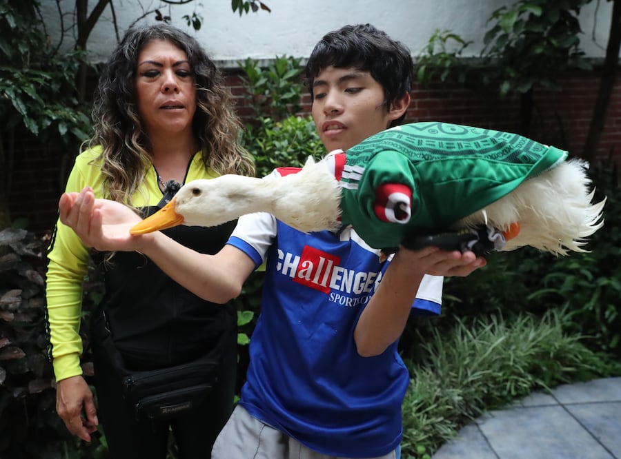 Pato Merlín: Gobierno de México reconoce oficialmente a la familia propietaria de la marca. Foto: EFE/Mario Guzmán