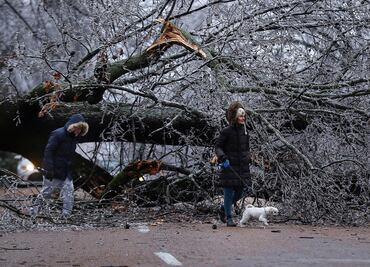 Muertes, árboles derribados y caos por tormenta invernal en EU