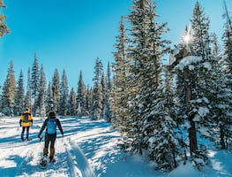 Lugares de Colorado con esquí y actividades de nieve para pasar el mejor invierno