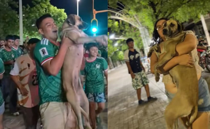 VIDEO: Encuentra a su perrita perdida gracias a una transmisión en vivo de los festejos de México ante Chequia. Foto: FB Cotorreando y Ale García