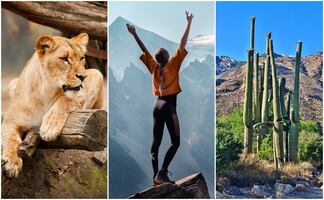 8 mejores atracciones que ver en Phoenix, Arizona 