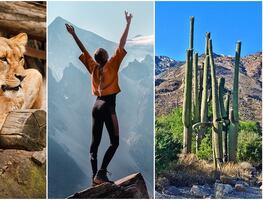 8 mejores atracciones que ver en Phoenix, Arizona