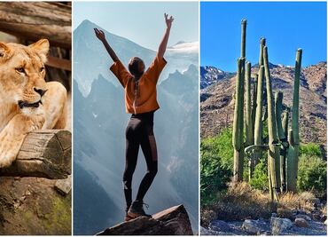 8 mejores atracciones que ver en Phoenix, Arizona