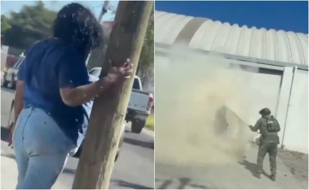 Terror por abejas en Culiacán: mujer sufre más de 200 picaduras (VIDEO)