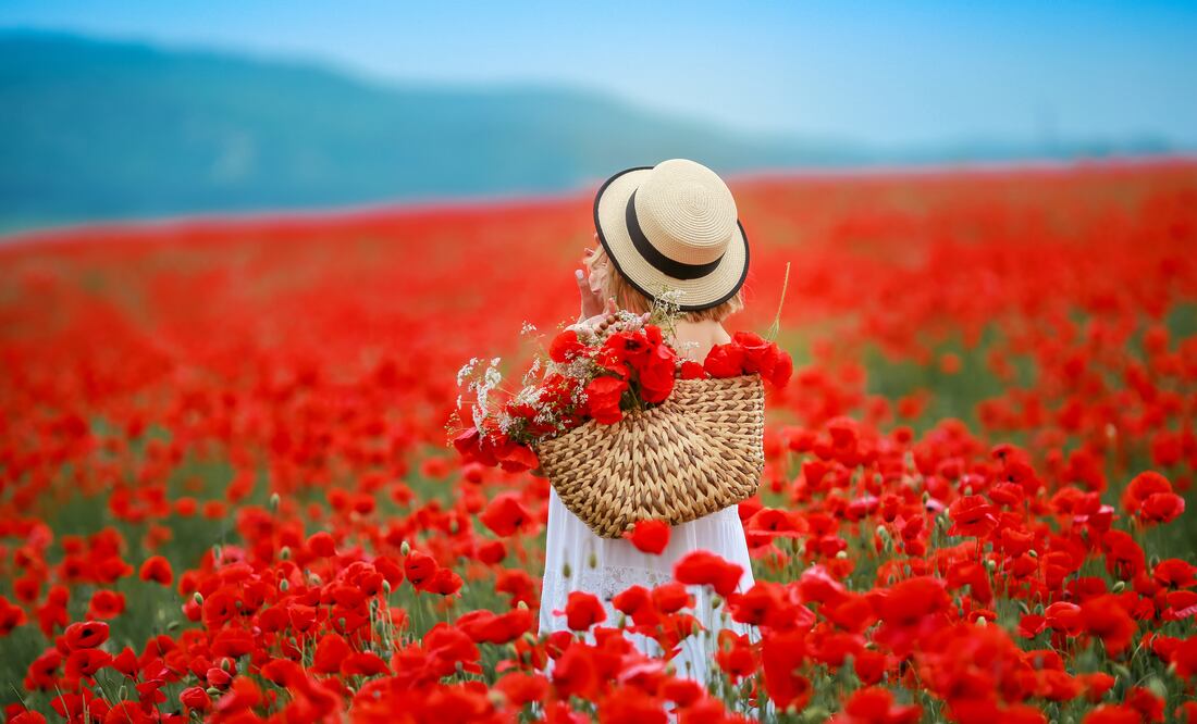 Destinos para visitar en primavera/ iStock/ Elena Batkova