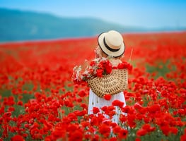 Las 5 mejores ciudades de Estados Unidos para visitar en primavera