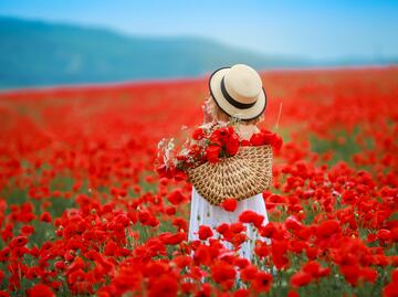 Las 5 mejores ciudades de Estados Unidos para visitar en primavera