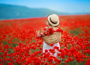 Las 5 mejores ciudades de Estados Unidos para visitar en primavera