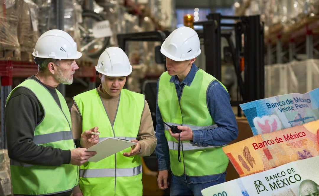 Utilidades 2024. ¿Cuándo pagan y cuánto te corresponde, de acuerdo con la LFT? Foto: iSTOCK