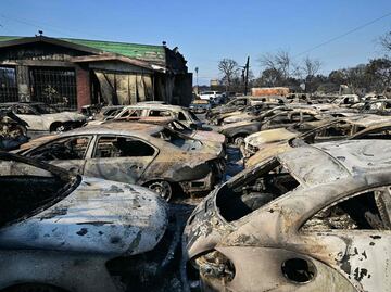 Aumenta a once el número de muertos por los incendios de Los Ángeles