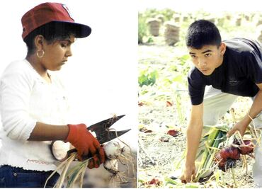 Niños migrantes: De limpiar lechugas en el campo a luchar contra el trabajo infantil en EU