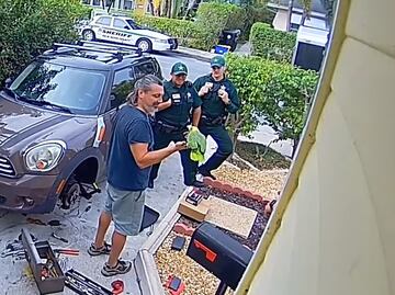 Vecino teme por gritos de ayuda de mujer y policía encuentra a loro