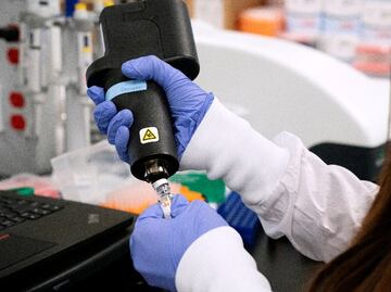 Coronavirus. J&J probará vacuna en humanos en septiembre