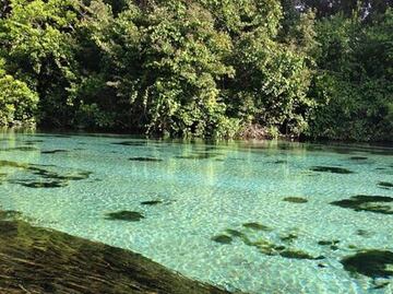 Sumérgete en el parque acuático con agua de manantial de Florida