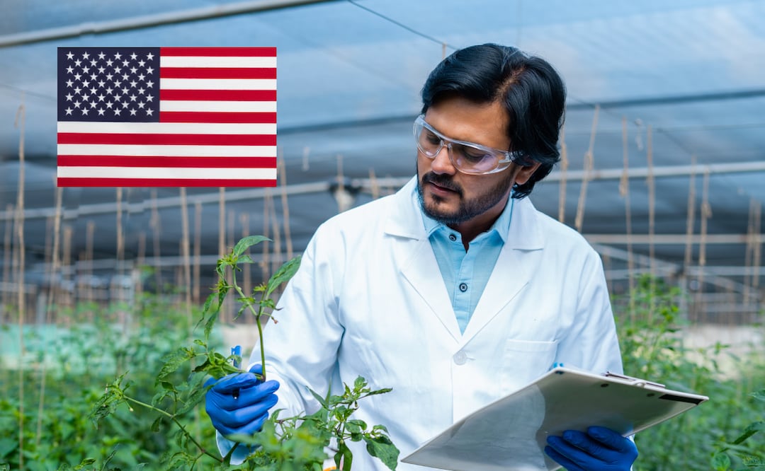 Embajada de Estados Unidos busca mexicanos para trabajo en CDMX; ofrecen $745,072 y prestaciones de ley. iStock/lakshmiprasad S