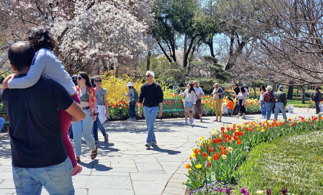 Dallas Arboretum Garden/ iStock/mj0007