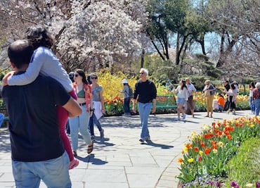 Visita el Arboreto y Jardín Botánico de Dallas por sólo $3 dólares TODO agosto