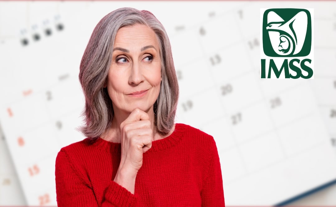 IMSS: ¿Cuántas semanas cotizadas tengo? Así puedes sacar tu constancia en línea. Foto: Adobe / IMSS