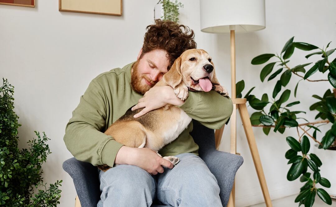 Las mejores razas de perros para apoyo emocional (ESA). Foto: iStock-AnnaStills