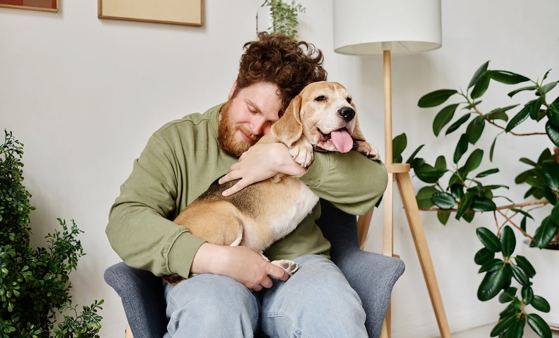 Las mejores razas de perros para apoyo emocional (ESA). Foto: iStock-AnnaStills