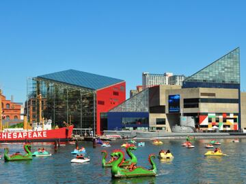El maravilloso Acuario Nacional de Baltimore en un tour virtual