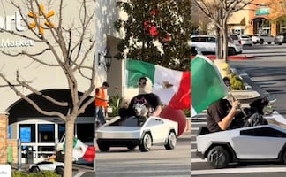 Perro 'influencer' se manifiesta frente a Walmart con bandera mexicana en apoyo a migrantes