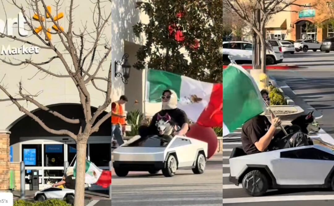 Perro 'influencer' se manifiesta frente a Walmart con bandera mexicana en apoyo a migrantes. Foto: TikTok