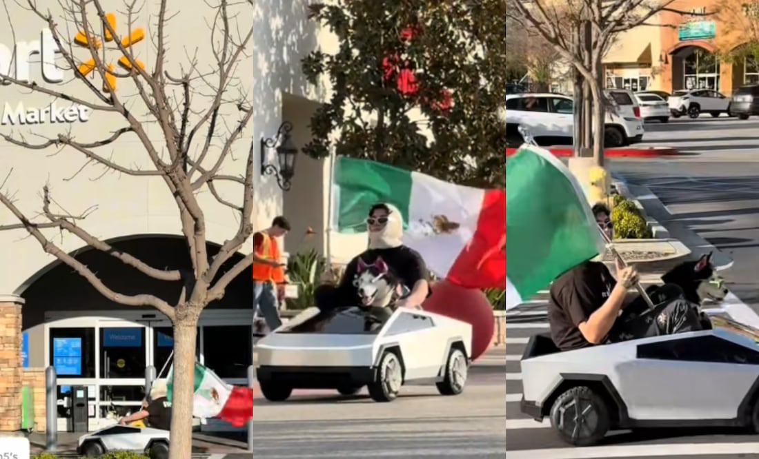 Perro 'influencer' se manifiesta frente a Walmart con bandera mexicana en apoyo a migrantes. Foto: TikTok