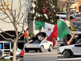 Perro 'influencer' se manifiesta frente a Walmart con bandera mexicana en apoyo a migrantes
