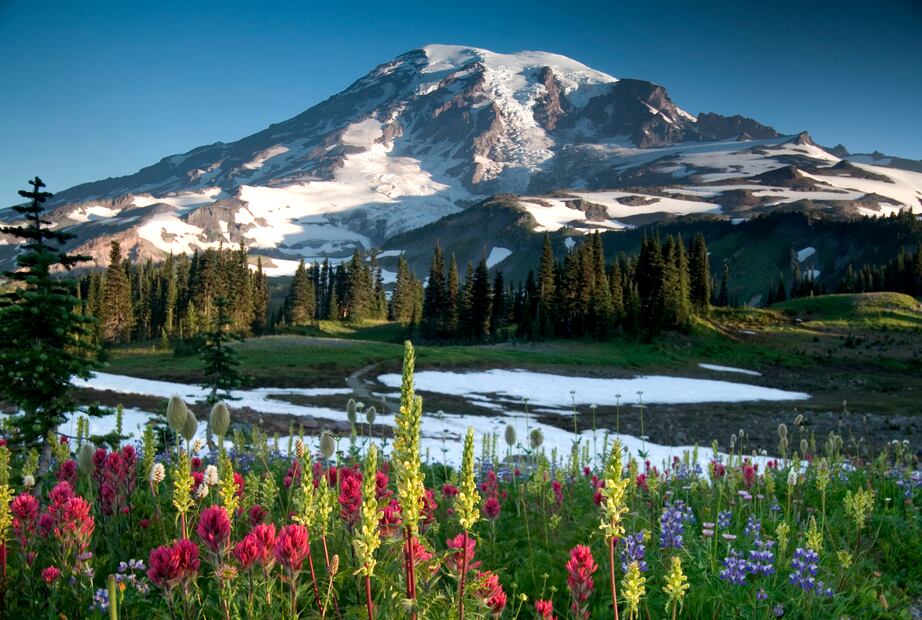 Mount Rainier. iStock/ jamcgraw