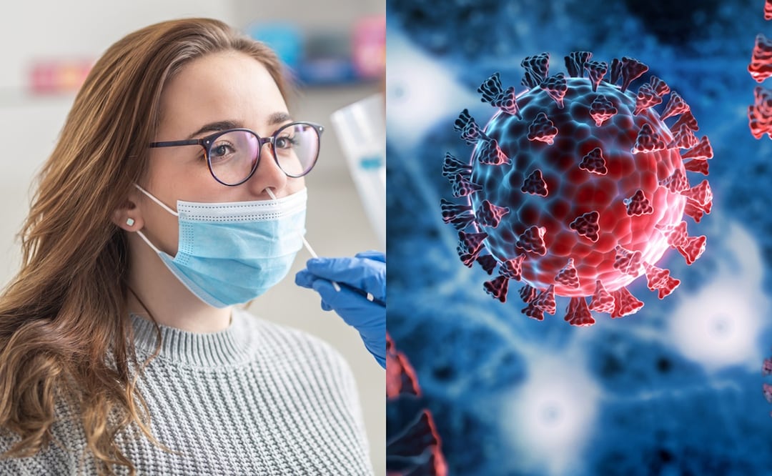 Covid: Alejandro Macías, zar de la influenza, alerta de nueva variante MV.1 que "se propaga rápidamente". ¿Cuáles son los síntomas? Foto: iStock/MarianVejcik/peterschreiber.media