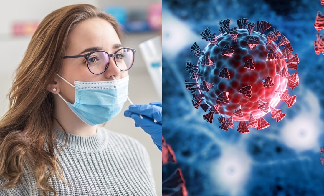 Covid: ¿Qué tan peligrosa es la nueva variante NB 1.8.1? Esto dicen los expertos Foto: iStock/MarianVejcik/peterschreiber.media