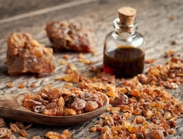 ¿Qué es la Mirra? Significado de los regalos de los 3 Reyes Magos