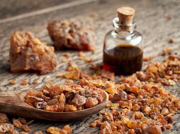 ¿Qué es la Mirra? Significado de los regalos de los 3 Reyes Magos