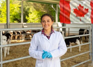 La vacante con la que veterinarios mexicanos pueden trabajar en Canadá y ganar $45,000