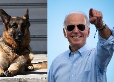 Los perros Champ y Major ya están instalados en la Casa Blanca