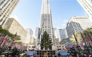 Llega a Nueva York el emblemático árbol de Navidad del Rockefeller Center