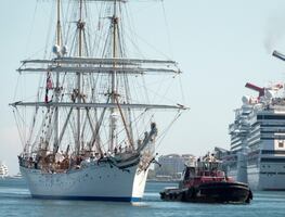 Cruceros, bajo la lupa de Estados Unidos tras erupción de covid por ómicron