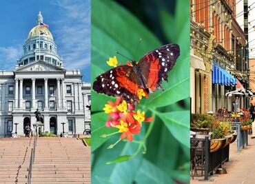 7 atracciones turísticas para ver en tu primer viaje a Denver
