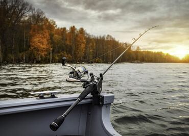 Animal marino ataca de gravedad a adolescente en los Cayos de Florida